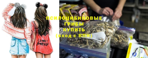 mdpv Богородицк