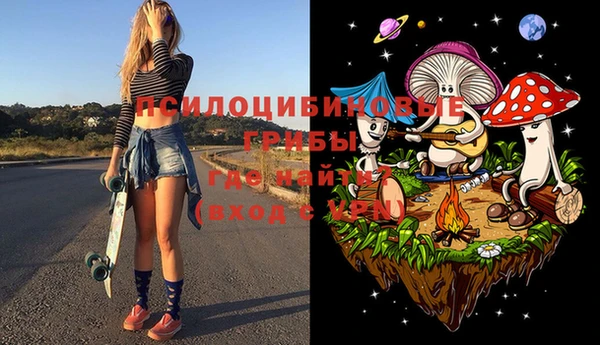 мдма Богданович