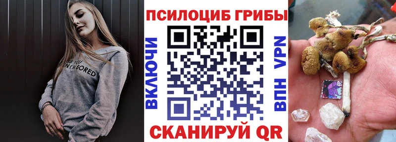 мега ссылки  Полесск  Псилоцибиновые грибы GOLDEN TEACHER 